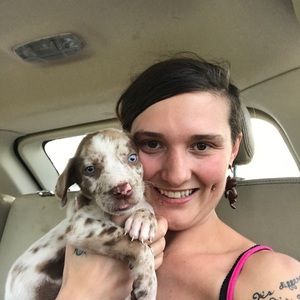 Meet your Posher, Dallas